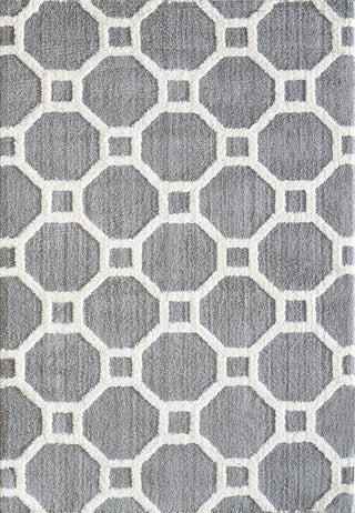 Dynamic Rugs Silky Shag 5903 Silver/White Area Rug main image