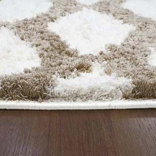 Dynamic Rugs Silky Shag 5904 Ivory/Beige Area Rug Detail Image