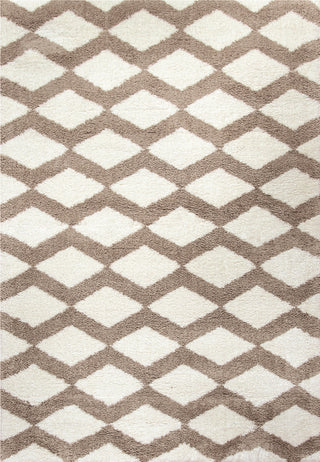 Dynamic Rugs Silky Shag 5904 Ivory/Beige Area Rug main image