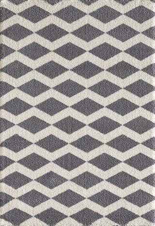 Dynamic Rugs Silky Shag 5904 Grey Area Rug main image