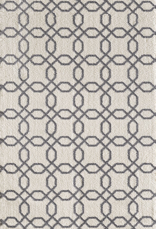 Dynamic Rugs Silky Shag 5905 White Area Rug main image