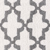 Dynamic Rugs Silky Shag 5906 White/Silver Area Rug Detail Image