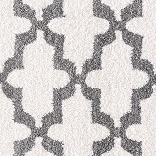 Dynamic Rugs Silky Shag 5906 White/Silver Area Rug Detail Image