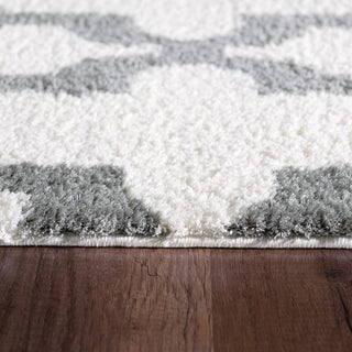 Dynamic Rugs Silky Shag 5906 White/Silver Area Rug Detail Image