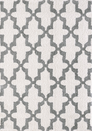 Dynamic Rugs Silky Shag 5906 White/Silver Area Rug main image