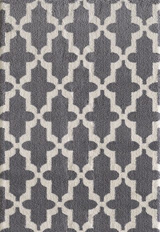 Dynamic Rugs Silky Shag 5906 Grey Area Rug main image