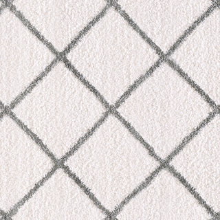 Dynamic Rugs Silky Shag 5920 Ivory/Silver Area Rug Detail Image