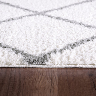 Dynamic Rugs Silky Shag 5920 Ivory/Silver Area Rug