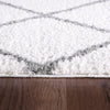 Dynamic Rugs Silky Shag 5920 Ivory/Silver Area Rug Detail Image