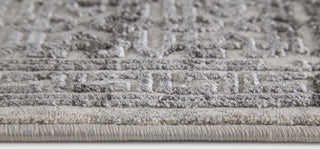 Dynamic Rugs Torino 3314 Light Grey Area Rug Detail Image