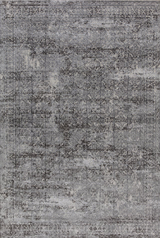 Dynamic Rugs Torino 3314 Light Grey Area Rug main image