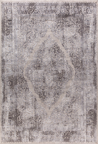 Dynamic Rugs Torino 3326 Silver/Grey Area Rug main image