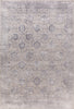 Dynamic Rugs Torino 3327 Grey/Silver Area Rug main image