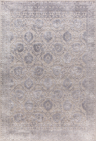 Dynamic Rugs Torino 3327 Grey/Silver Area Rug main image
