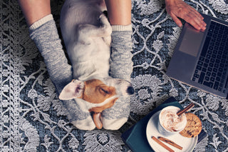 Dynamic Rugs Torino 3327 Navy Area Rug Lifestyle Image Feature