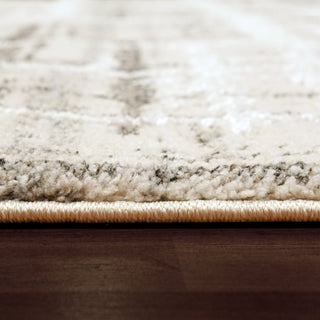 Dynamic Rugs Troya 4602 Cream/Ivory Area Rug Detail Image