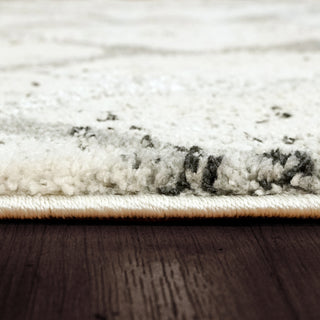 Dynamic Rugs Troya 4603 Grey/Ivory Area Rug Detail Image