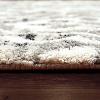 Dynamic Rugs Troya 4605 Cream/Ivory Area Rug Detail Image