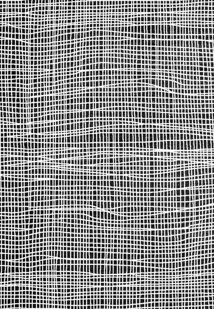 Dynamic Rugs Verve 6552 Black/White Area Rug main image