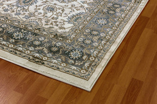 Dynamic Rugs Yazd 2803 Ivory/Grey Area Rug Detail Image