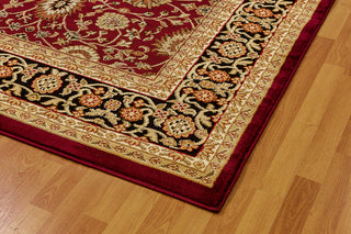 Dynamic Rugs Yazd 2803 Red/Black Area Rug Detail Image