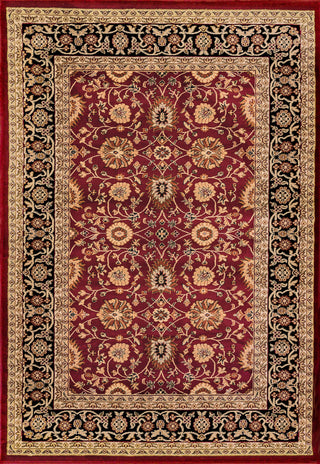 Dynamic Rugs Yazd 2803 Red/Black Area Rug main image