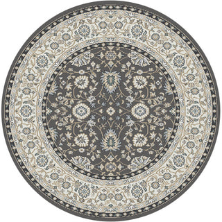 Dynamic Rugs Yazd 2803 Grey/Ivory Area Rug Main