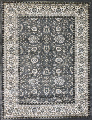 Dynamic Rugs Yazd 2803 Charcoal/Ivory Area Rug Main Image