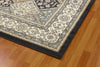 Dynamic Rugs Yazd 8471 Grey/Ivory Area Rug Detail Image