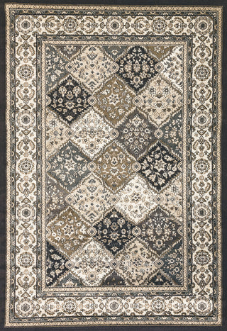 Dynamic Rugs Yazd 8471 Grey/Ivory Area Rug Main Image