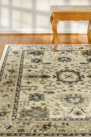 Dynamic Rugs Yazd 8531 Ivory Area Rug Lifestyle Image Feature