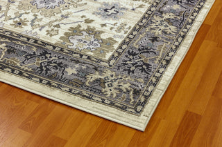 Dynamic Rugs Yazd 8531 Ivory/Grey Area Rug Detail Image