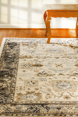 Dynamic Rugs Yazd 8531 Ivory/Grey Area Rug Lifestyle Image Feature