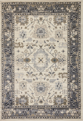 Dynamic Rugs Yazd 8531 Ivory/Grey Area Rug Main Image