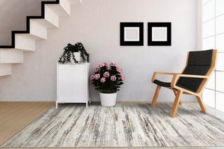 Dynamic Rugs Zen 8336 Grey/Taupe Area Rug Lifestyle Image Feature