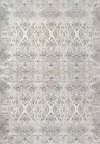 Dynamic Rugs Zen 8344 Grey Area Rug main image