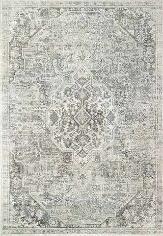 Dynamic Rugs Zen 8345 Grey Area Rug main image