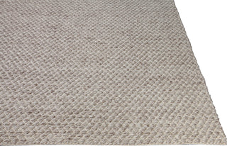 Dynamic Rugs Zest 40807 Beige Area Rug