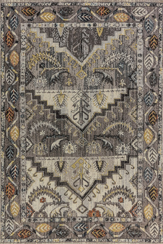 Dynamic Rugs Zodiac 6630 Grey Area Rug