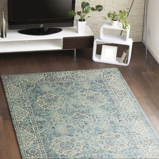 Bashian Everek E110-5363 Aqua Area Rug Room Scene Feature