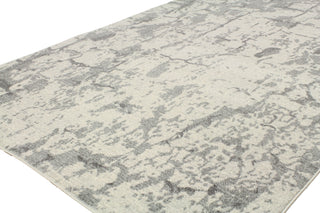 Bashian Everek E110-5443A Ivory Area Rug Alternate Shot