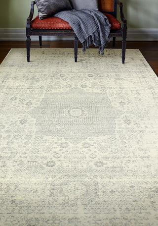 Bashian Everek E110-5438A Ivory/Silver Area Rug Room Scene Feature