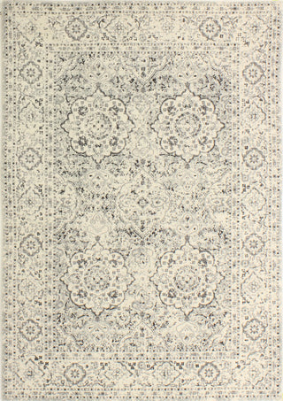 Bashian Everek E110-5363 Silver Area Rug main image