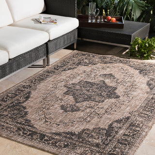 Surya Eagean EAG-2303 Area Rug Room Image Feature