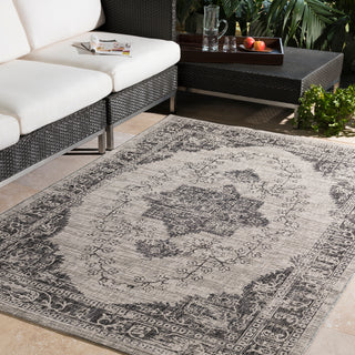 Surya Eagean EAG-2304 Area Rug Room Image Feature