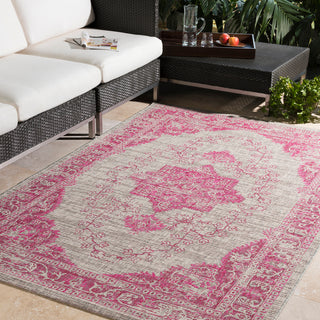 Surya Eagean EAG-2305 Area Rug Room Image Feature