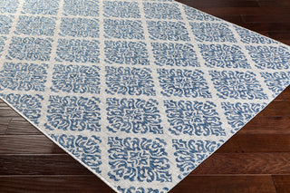 Surya Eagean EAG-2313 Area Rug Corner Image