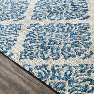 Surya Eagean EAG-2313 Area Rug Texture Image