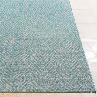 Surya Eagean EAG-2320 Area Rug Detail Image