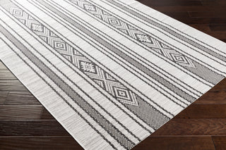 Surya Eagean EAG-2352 Area Rug